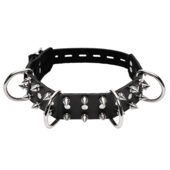 Bad Dog Leash and Spiked Collar Kit - Image 3