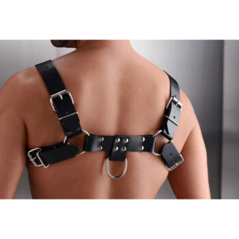 English Bull Dog Harness - Image 3