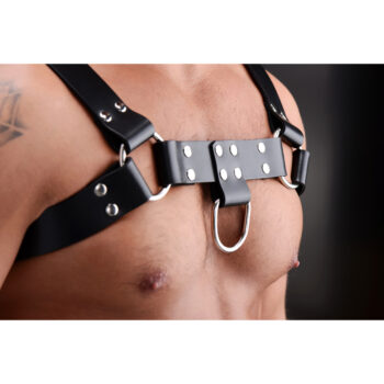 English Bull Dog Harness - Image 2