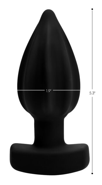 The Assterisk 10X Ribbed Silicone Remote Control Vibrating Butt Plug - Image 6