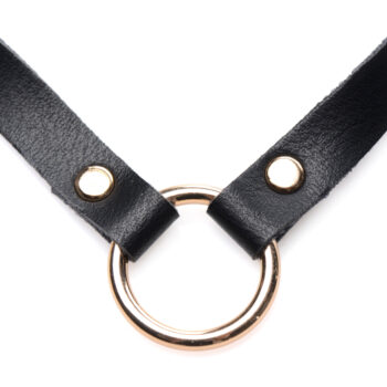 Posh Pet Gold Ring Slim Choker - Image 3