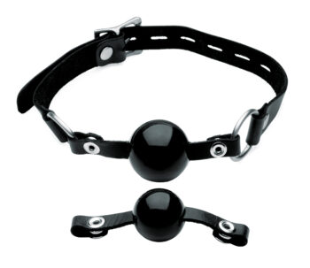 Isabella Sinclaire Interchangeable Silicone Ball Gag Set - Image 2