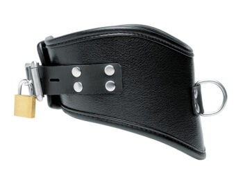 Isabella Sinclaire Leather Posture Collar with Leash - Image 3