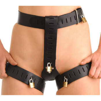 Deluxe Locking Womens Chastity Belt - SM - Image 2