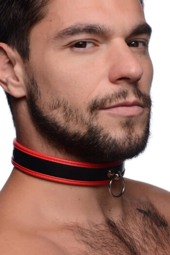 Scarlet Pet Red Collar with O-Ring - Image 2