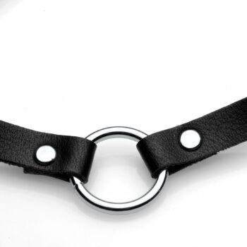 Lush Pet Silver Ring Slim Choker - Image 3