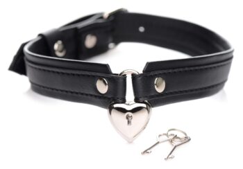 Locking Heart Collar - Image 5