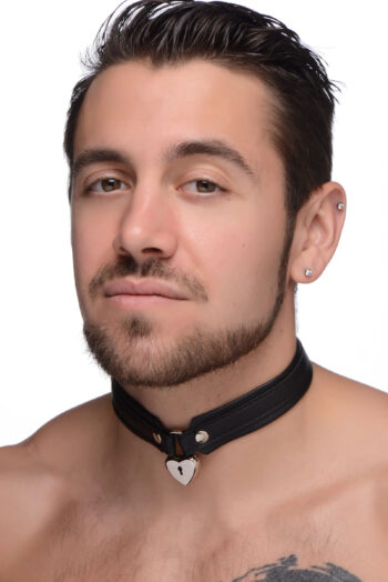 Locking Heart Collar - Image 4