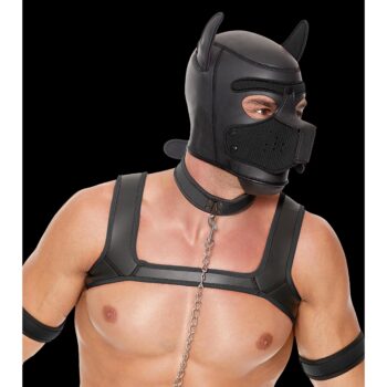 Neoprene Puppy Kit - LXL