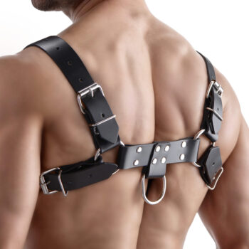 English Bull Dog Harness - Image 7