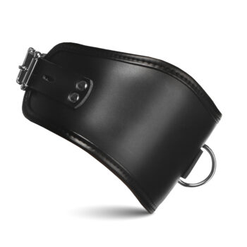 Hard Stance Padded Locking Posture Collar - Image 4