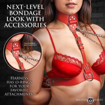 Vixen Female Chest Harness - Red - Image 3